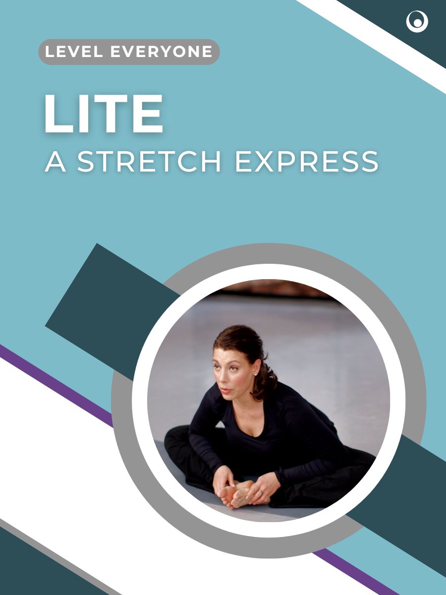 Lastics online flexibility training