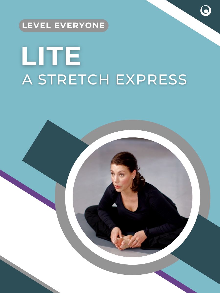 Lastics online flexibility training